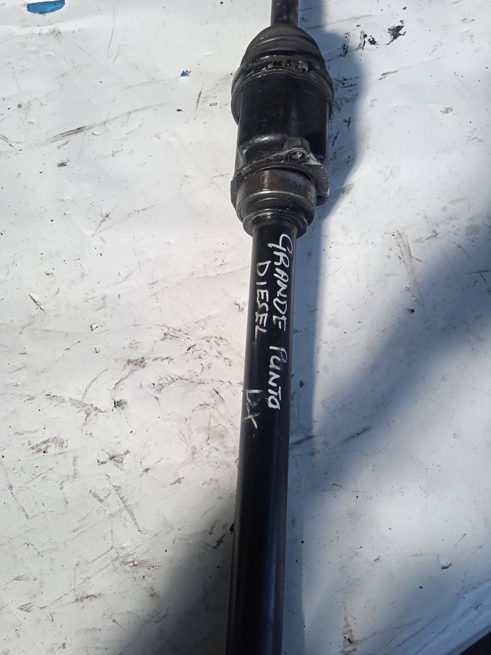 Semialbero ant. compl. dx.